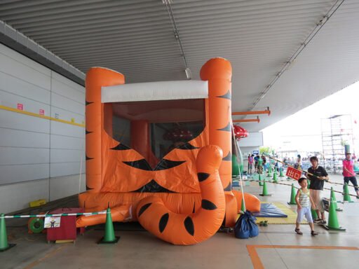 ０７　タイガーバウンス