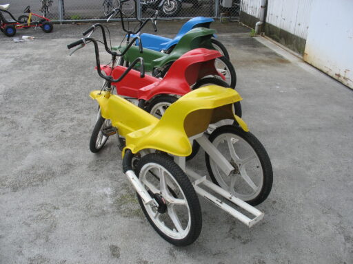 １１　カルガモサイクル