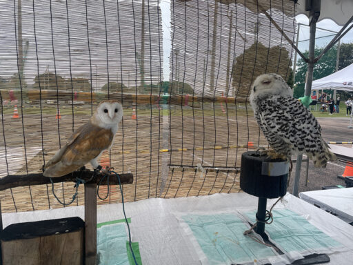 ０１　移動動物園【ふれあい動物園】