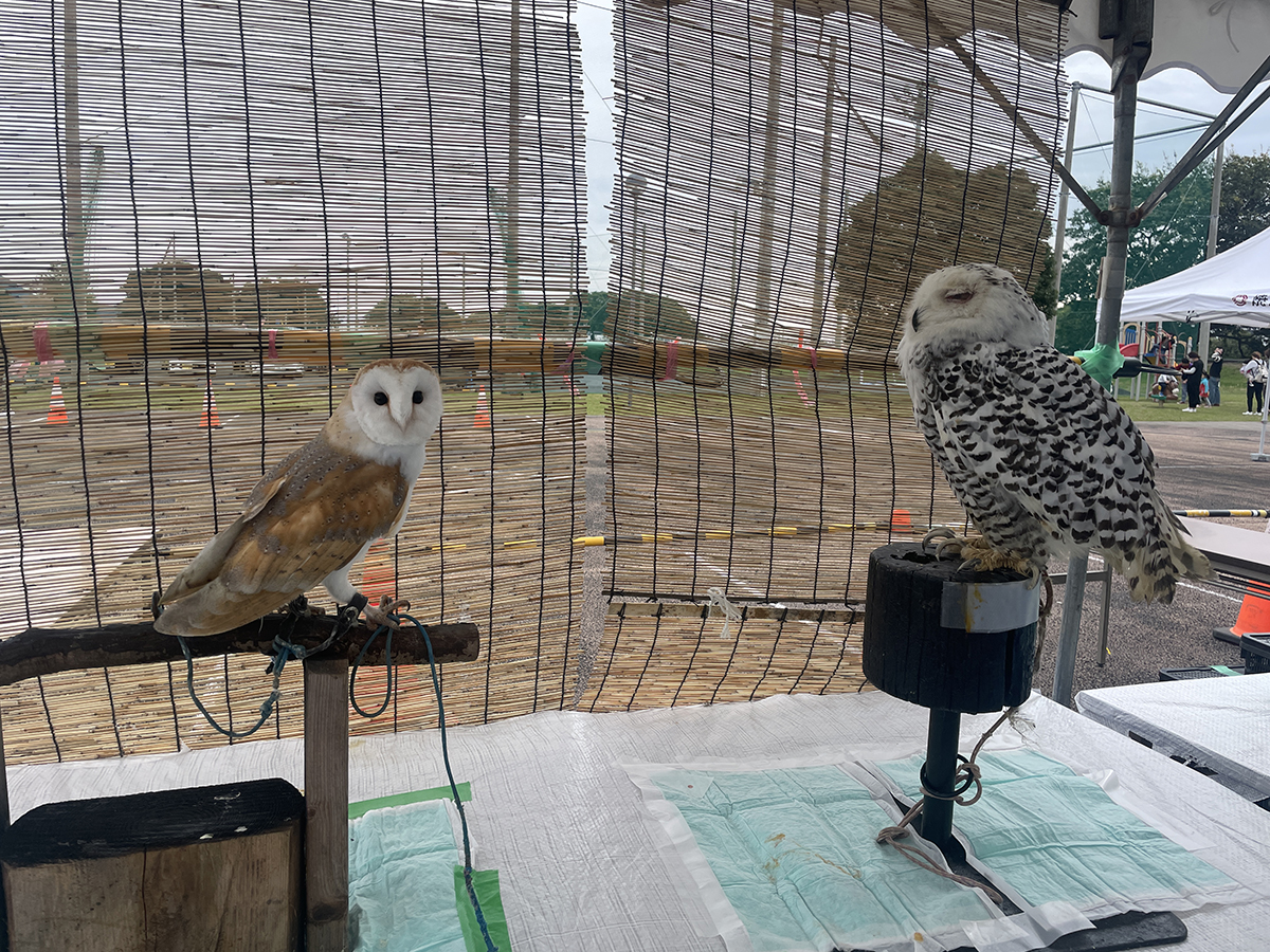 ０１　移動動物園【ふれあい動物園】