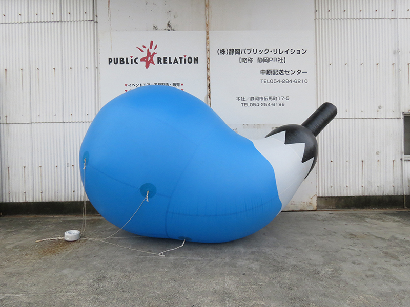 ０５　バルーンナス