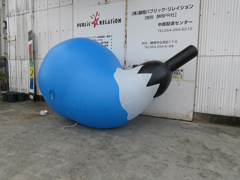 ０５　バルーンナス