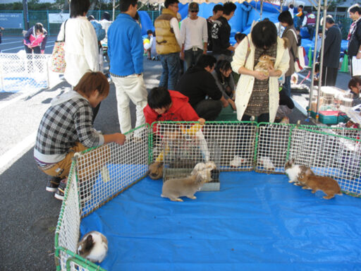 ０１　移動動物園【ふれあい動物園】
