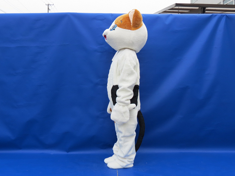 １２　着ぐるみ　ねこ