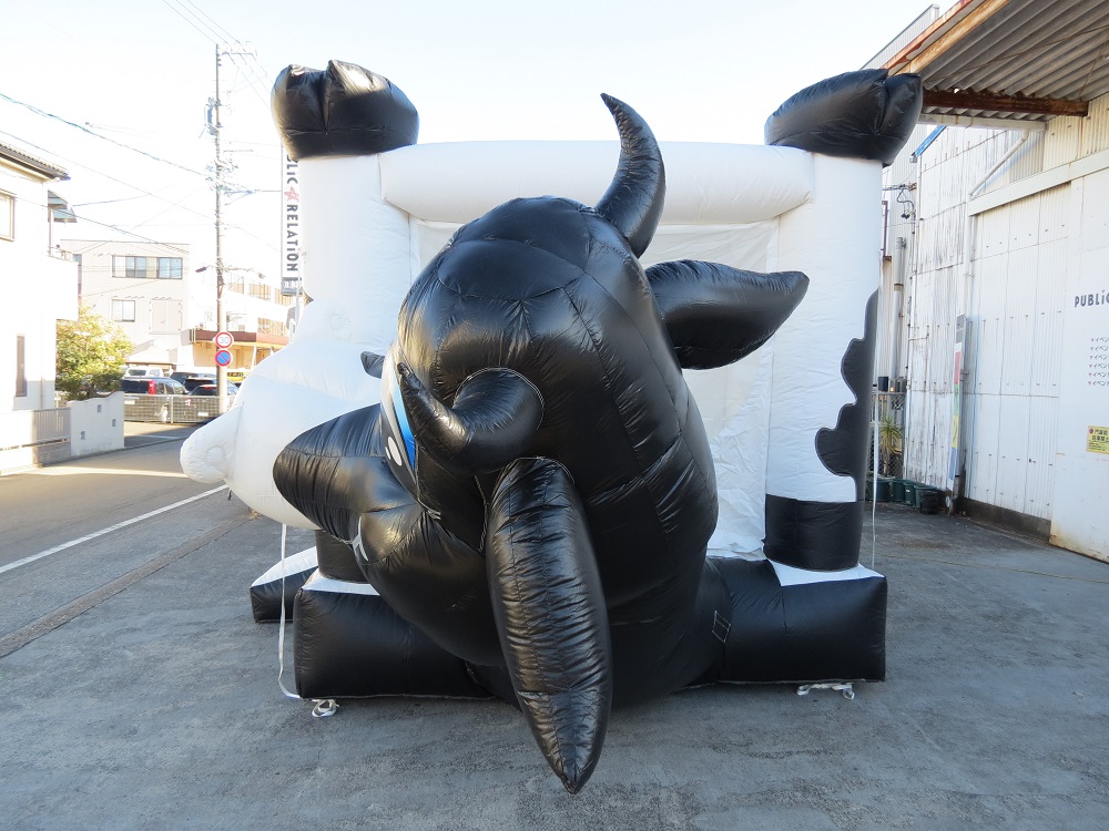 ０８　カウベリーバウンス
