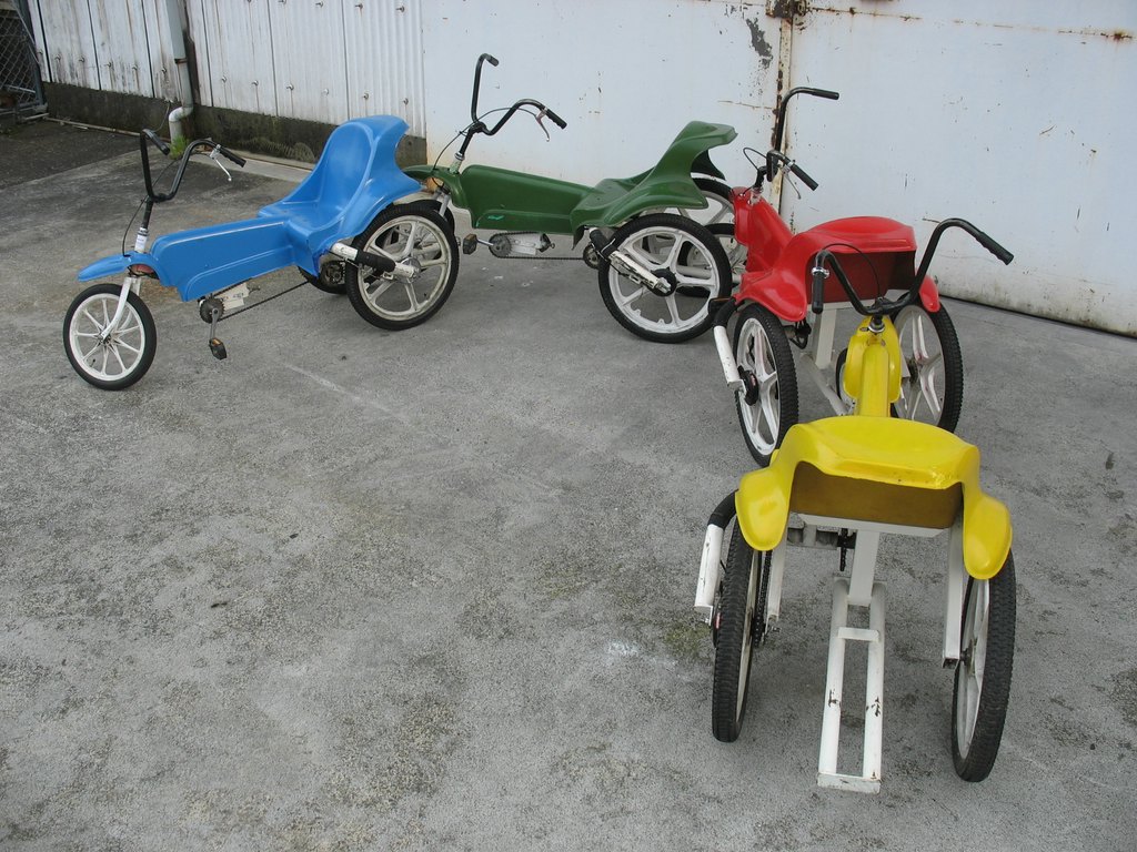 １１　カルガモサイクル