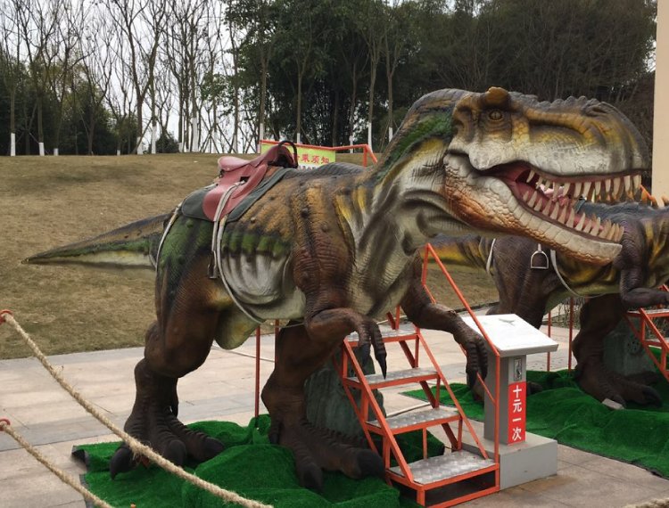 １　ディノライド